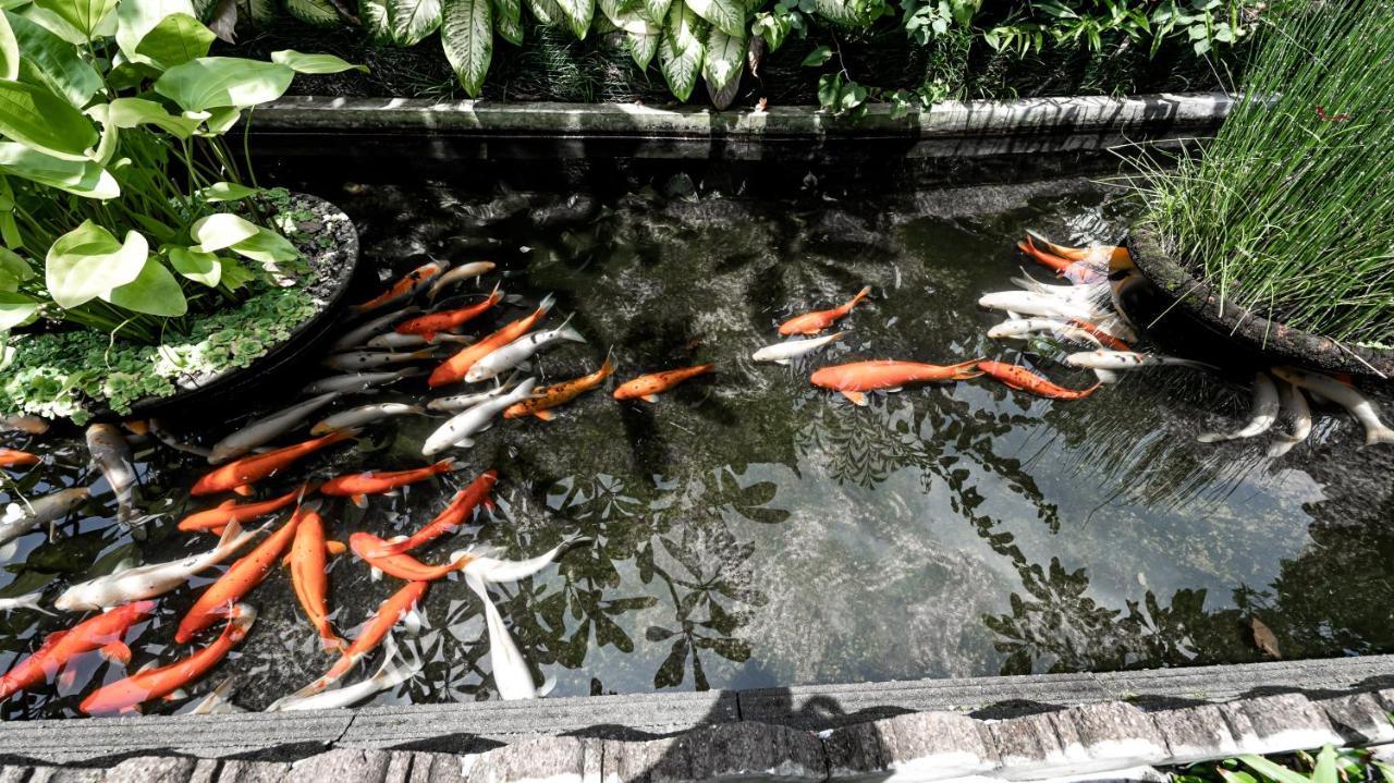 グヌン メルタ バンガローズ ウブド エクステリア 写真